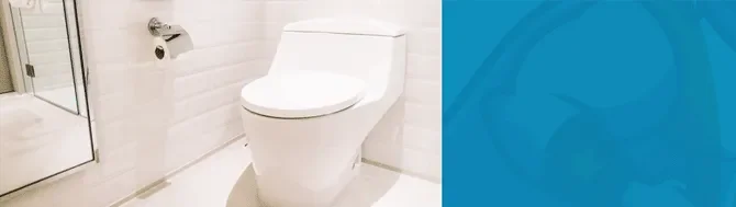 Toilet Replacement